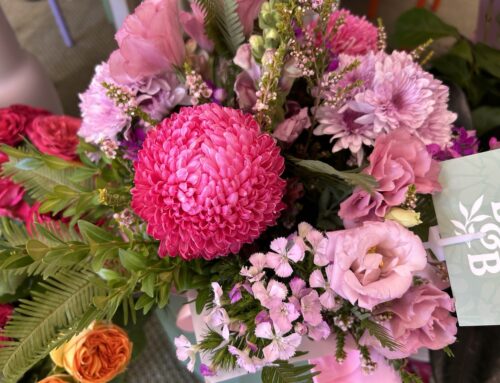 Bower & Bloom Brisbane: A Fresh Floral Haven in Nundah
